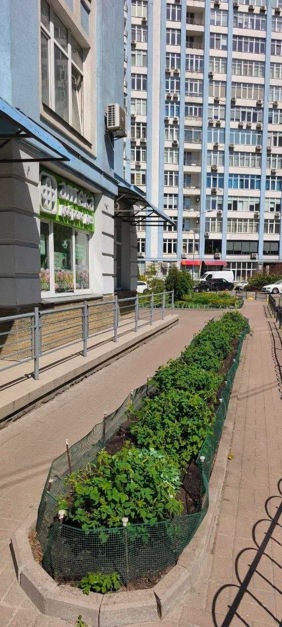 Оренда комерційного приміщення, 79 м², Дарницький р-н 3