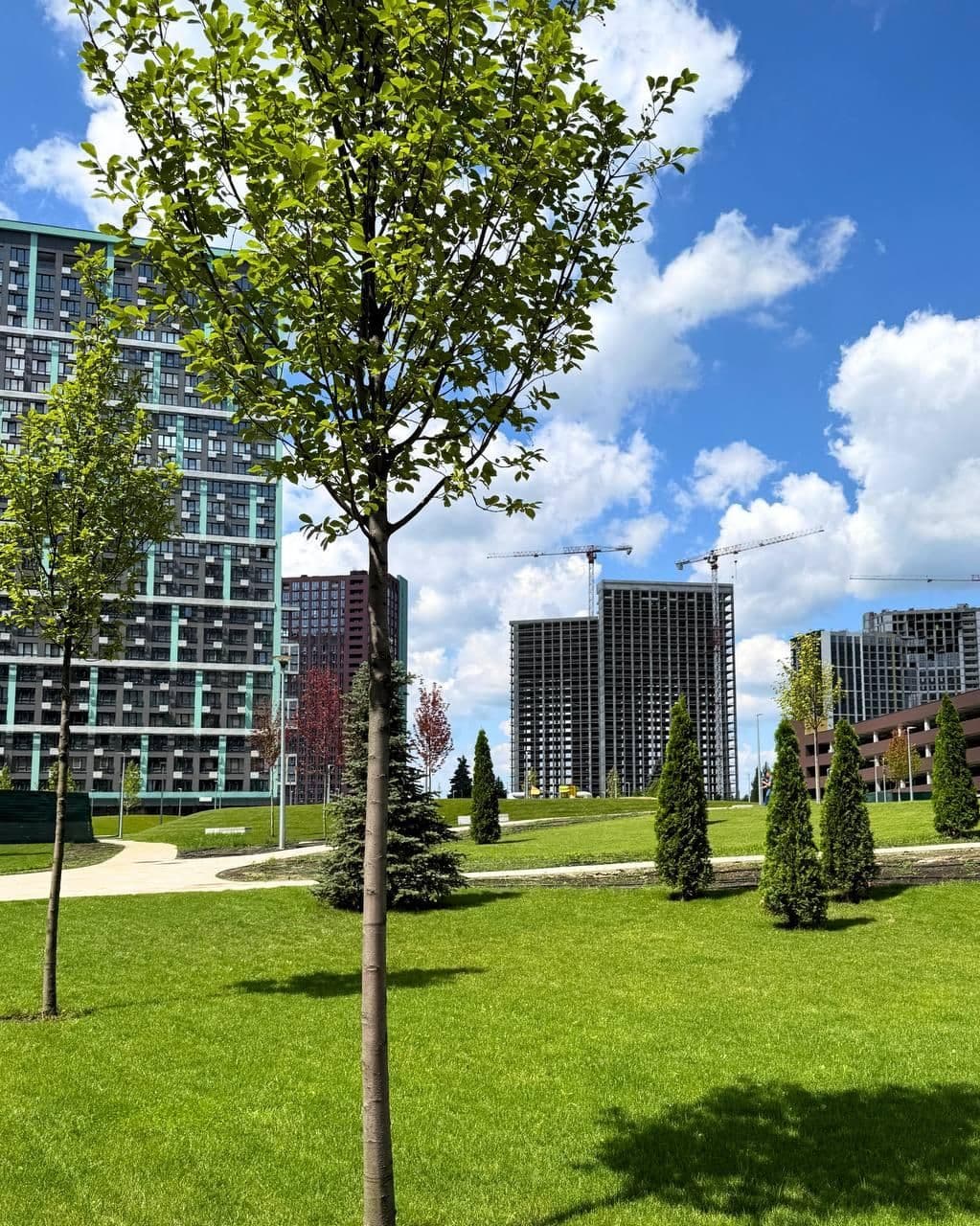 Продаж 1-кімнатної квартири, 42 м², ЖК «Діброва парк» 3