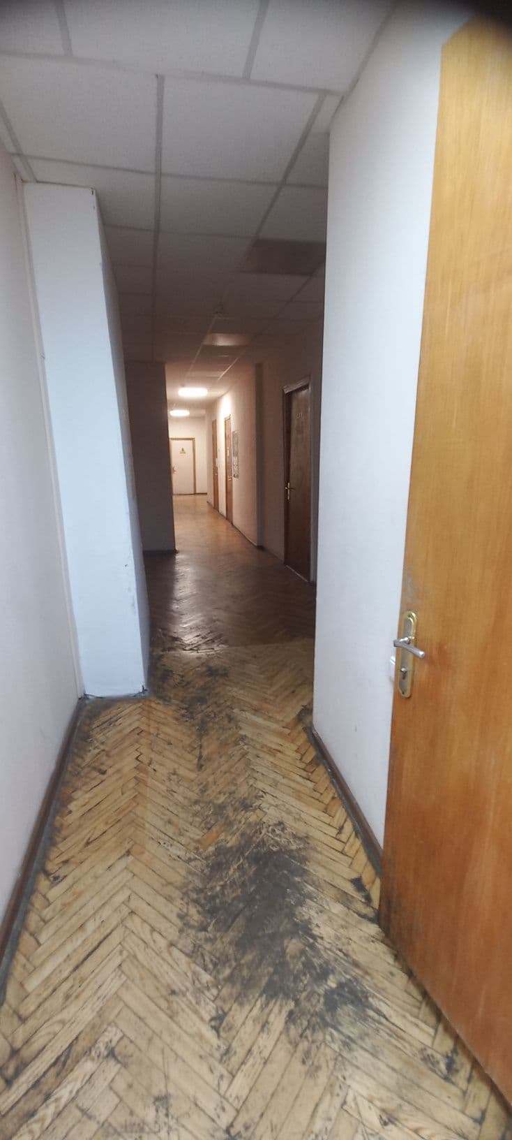 Оренда комерційного приміщення, 53 м², Печерський р-н 5